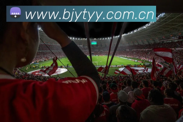 多媒体互动体验